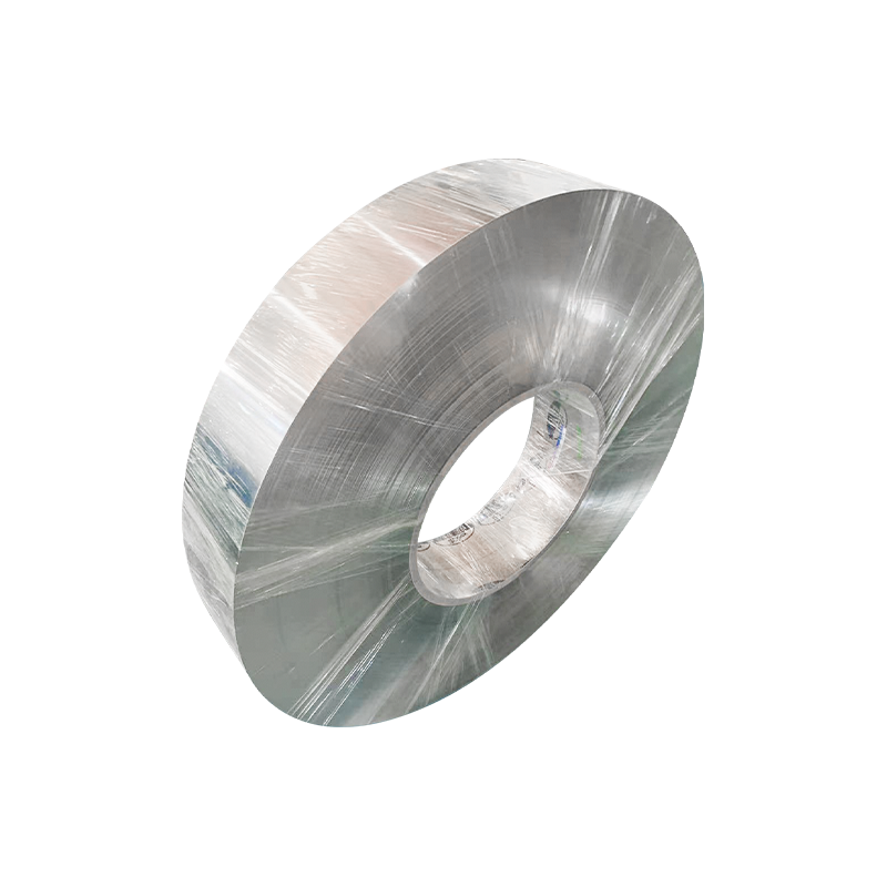 309S koudgewalste roestvrijstalen strip voor gevlochten buis